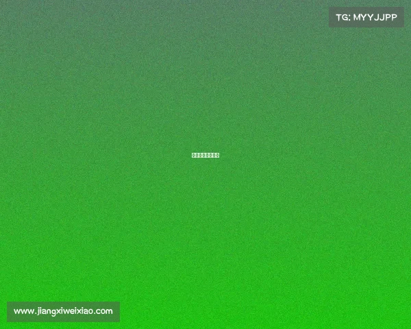 老司机是什么游戏